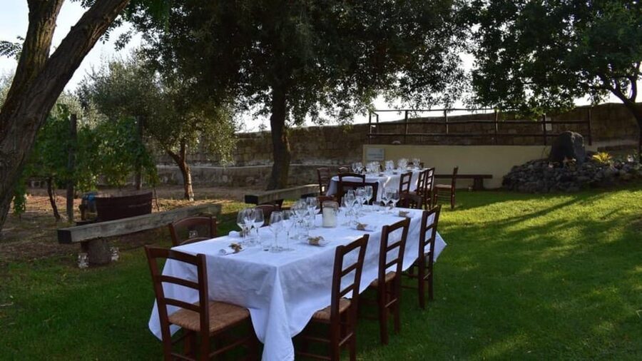 Naples: winery tour & wine tasting on Astroni crater - Key points at a glance