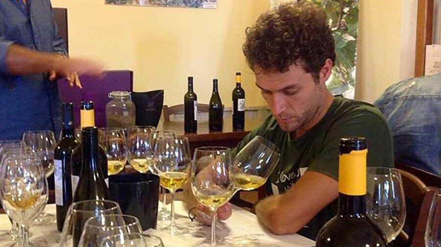 Naples: winery tour & wine tasting on Astroni crater - Why Astroni makes a good wine setting