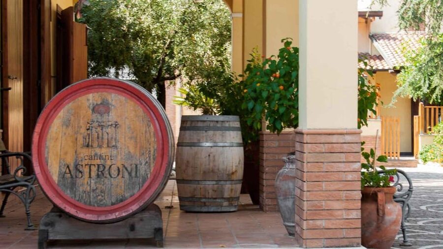 Naples: winery tour & wine tasting on Astroni crater - The vineyard walk and the Campi Flegrei story