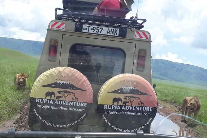 Ngorongoro Crater Day Trip - Why Ngorongoro Crater feels different