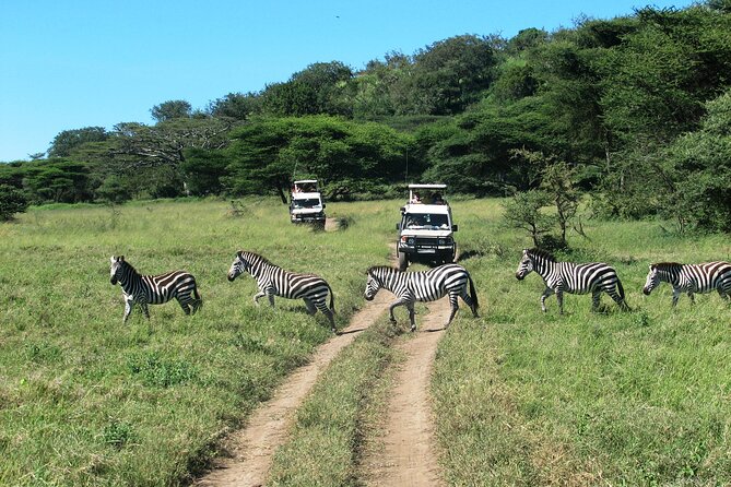 Ngorongoro Crater Day Trip – Shared Group Safari - Hippo pools and water-loving wildlife