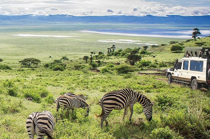 Ngorongoro Crater Exclusive: A Journey into Africa’s Eden - A picnic near the Hippo Pool at 12:30 p.m.