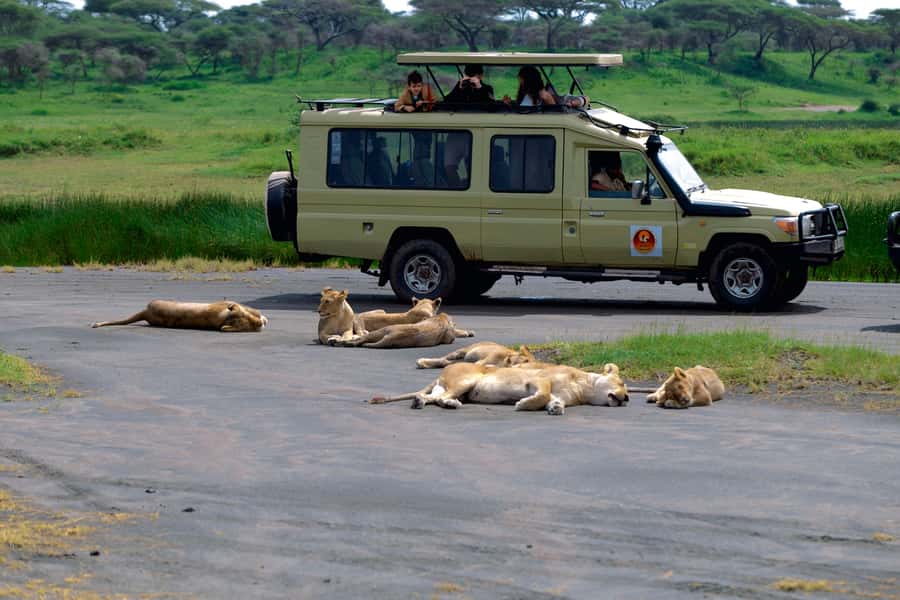 Ngorongoro Crater: Full-Day Safari Tour - The Journey From Arusha to the Crater