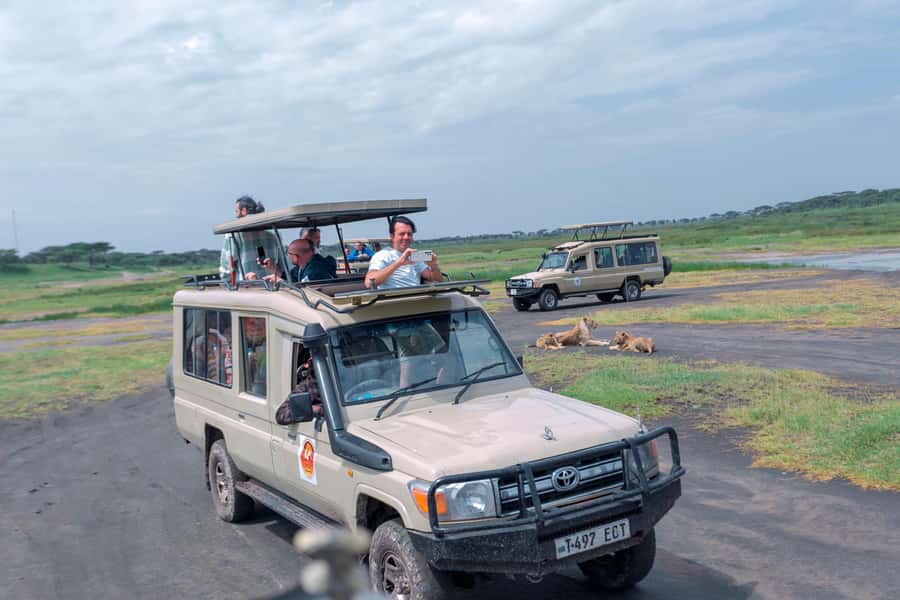 Ngorongoro Crater: Full-Day Safari Tour - Lunch Beside the Rhino Pool