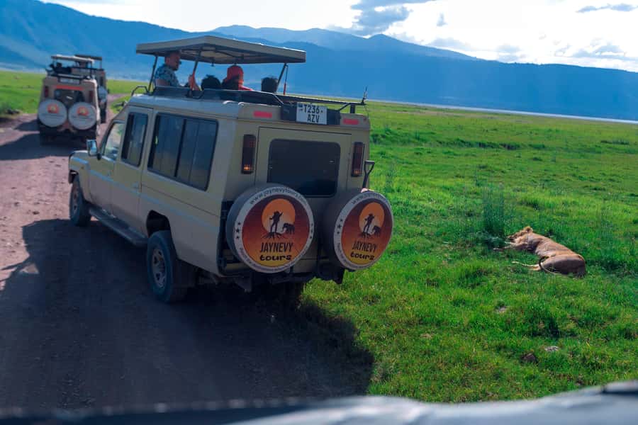 Ngorongoro Crater: Full-Day Safari Tour - Who Will Enjoy This Safari Most