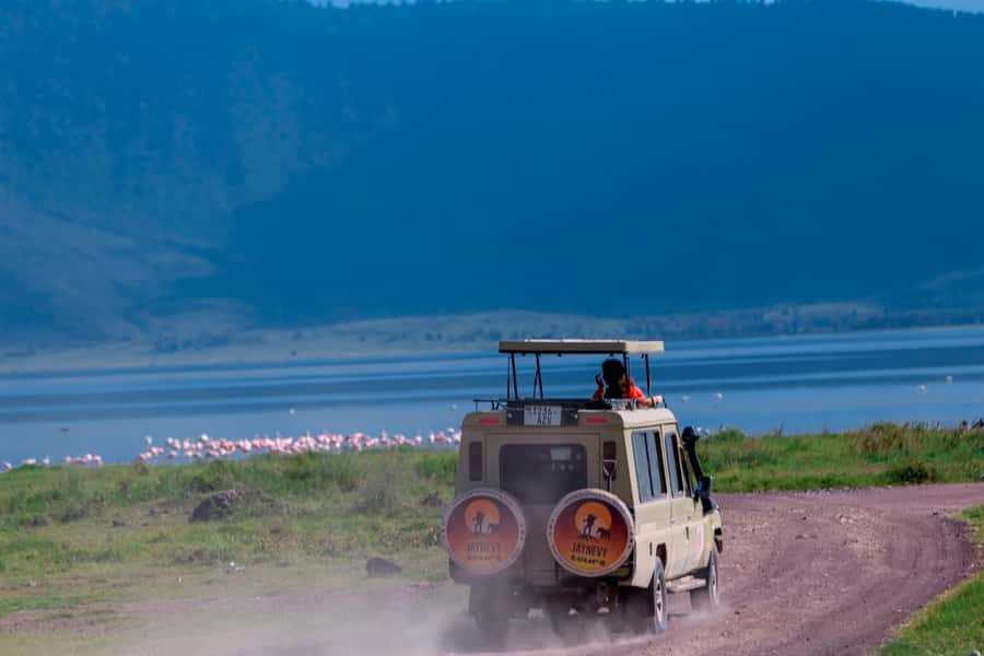 Ngorongoro Crater: Full-Day Safari Tour - Is $291 a fair price?
