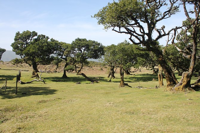 NorthWest Landscapes, UNESCO & volcanic pools 4x4 experience - Poça das Lesmas offers a second water option