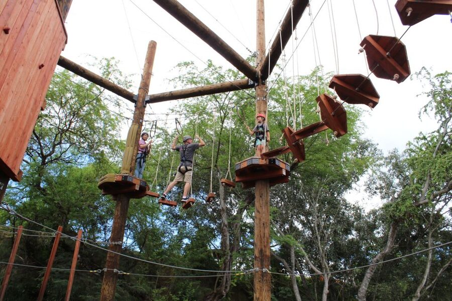 Oahu: Coral Crater Challenging Adventure Course - Practical tips for a smoother hour