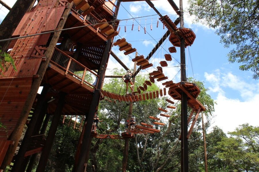 Oahu: Coral Crater Challenging Adventure Course - Arriving at Coral Crater from Waikiki