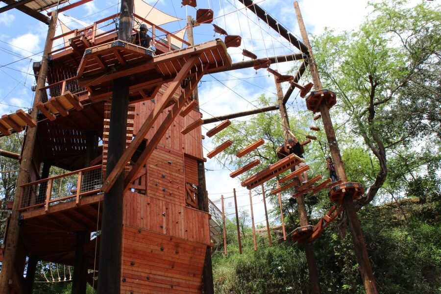 Oahu: Coral Crater Challenging Adventure Course - Is $62 a fair price for one hour?