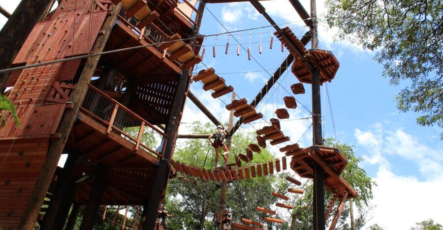 Oahu: Coral Crater Challenging Adventure Course - Who should book this Coral Crater experience?
