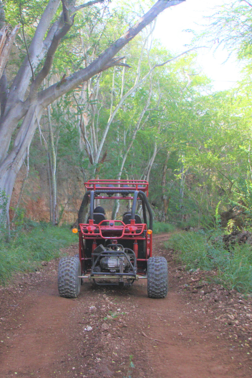 Oahu: Coral Crater Zipline and Offroad ATV Adventure - Quick Points About Coral Crater