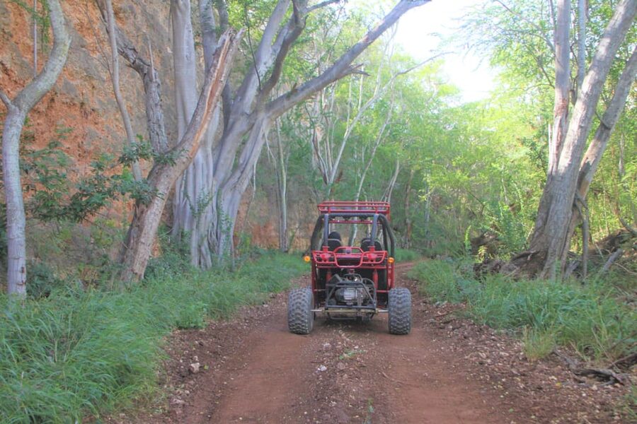 Oahu: Coral Crater Zipline and Offroad ATV Adventure - A Second Briefing, Then Four Wheels