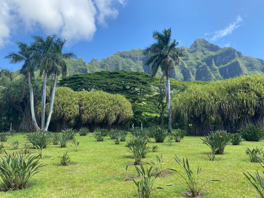 Oahu: Diamond Head Crater Hike and North Shore Experience - Kualoa Regional Park and the coast near Kaneohe