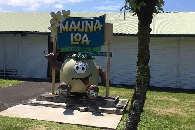 Oahu to Big Island : Big Island Volcano Helicopter Tour & Hilo 1 Day Tour - The helicopter flight is the main event