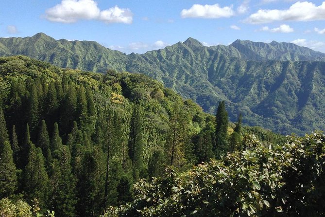 Oahu Volcanic Rainforest Hiking Adventure - Streams, pools, and the waterfall at the end
