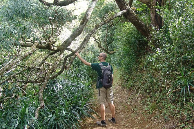 Oahu Volcanic Rainforest Hiking Adventure - What the $92.31 price really covers