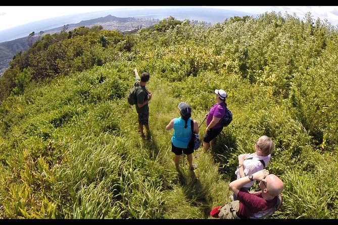 Oahu Volcanic Rainforest Hiking Adventure - What you learn from guides such as Terii and Terry