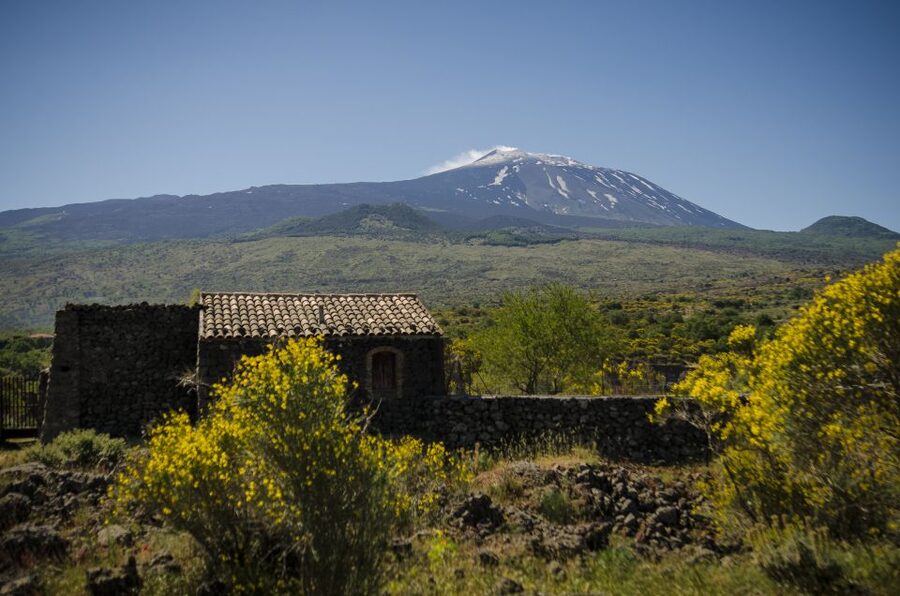 Old Sicily and Etna wine tasting tour from Taormina - Key points to know before booking