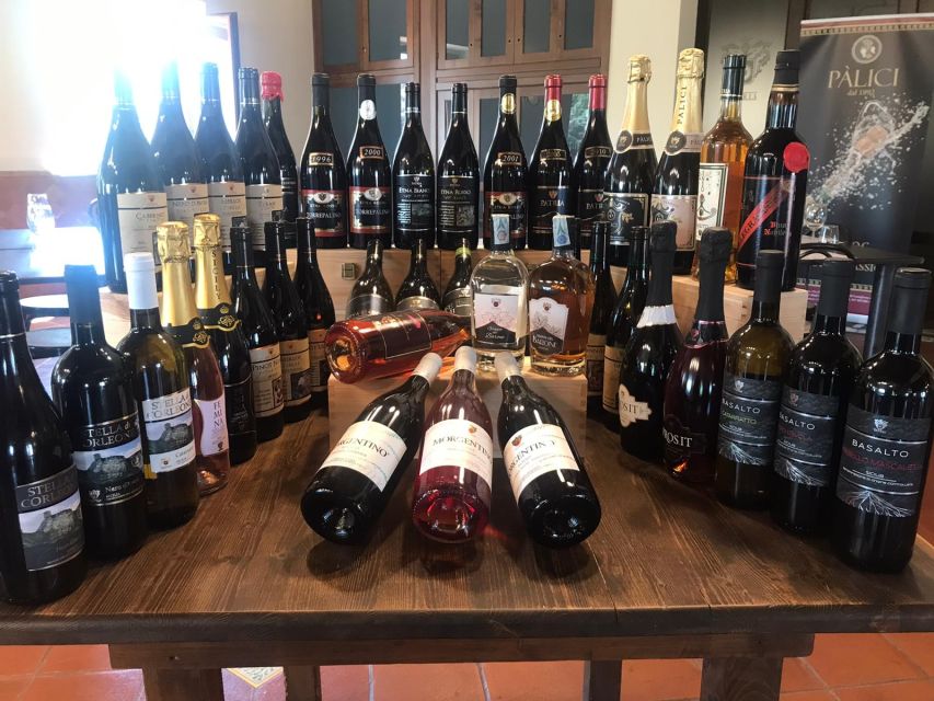 Old Sicily and Etna wine tasting tour from Taormina - Who should book this Etna day trip?