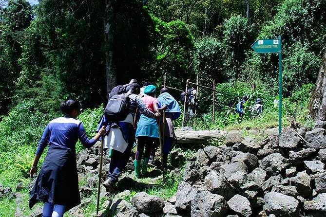 One Day Mount Bisoke Hike Adventure Tour in Volcanoes Park - Why Mount Bisoke is a strong Rwanda day trip