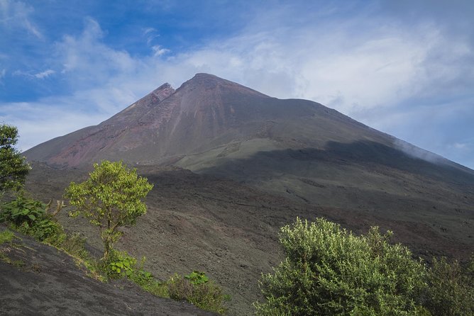 Pacaya Volcano Day Trip from Guatemala City - The first climb through ash and vegetation