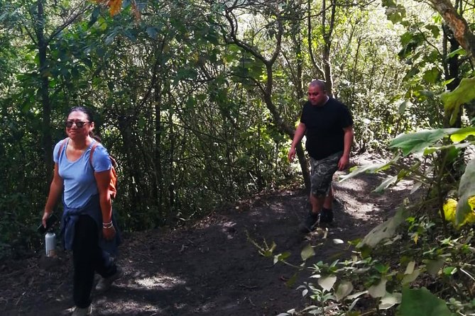 Pacaya Volcano Tour and Hot Springs from Guatemala City - A 6:30 a.m. start from Guatemala City