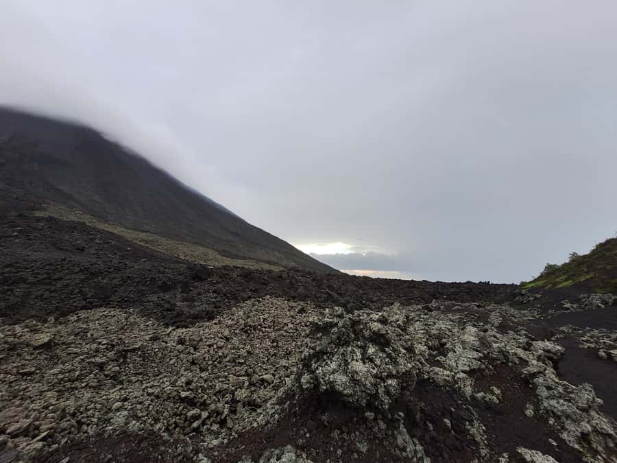 Pacaya Volcano Tour from Antigua Guatemala - What the Pacaya experience is really like