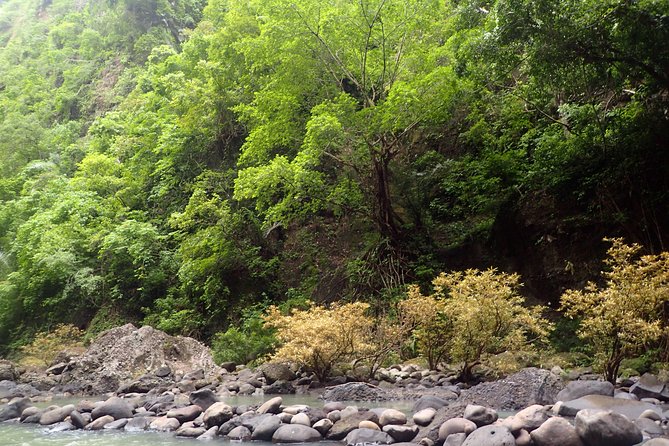 Pagsanjan Falls-Taal Volcano-Tagaytay ultimate Day Tour frm MNL - High water can change the falls experience