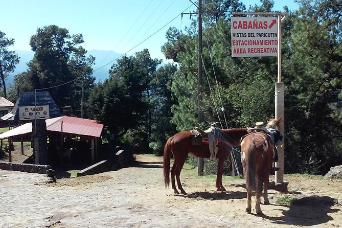 Paricutin Volcano Tour (Morelia) - Why Paricutin makes such a powerful day trip