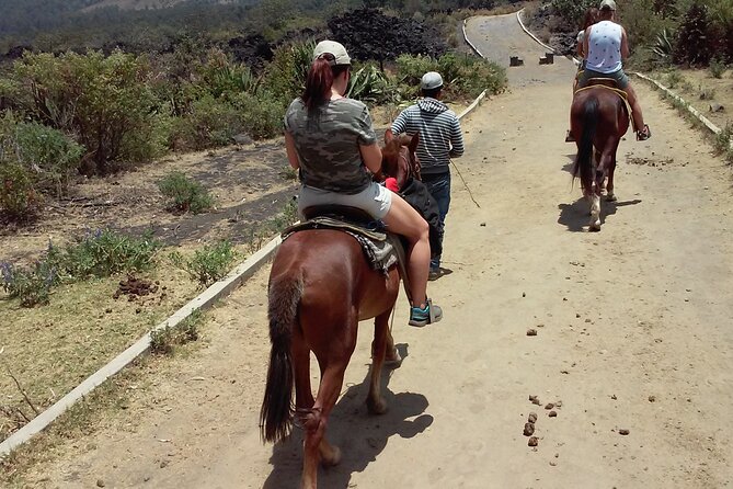 Paricutin Volcano Tour (Morelia) - Walking across volcanic remains