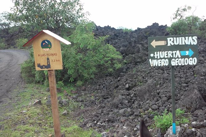 Paricutin Volcano Tour (Morelia) - What the $139 price really covers