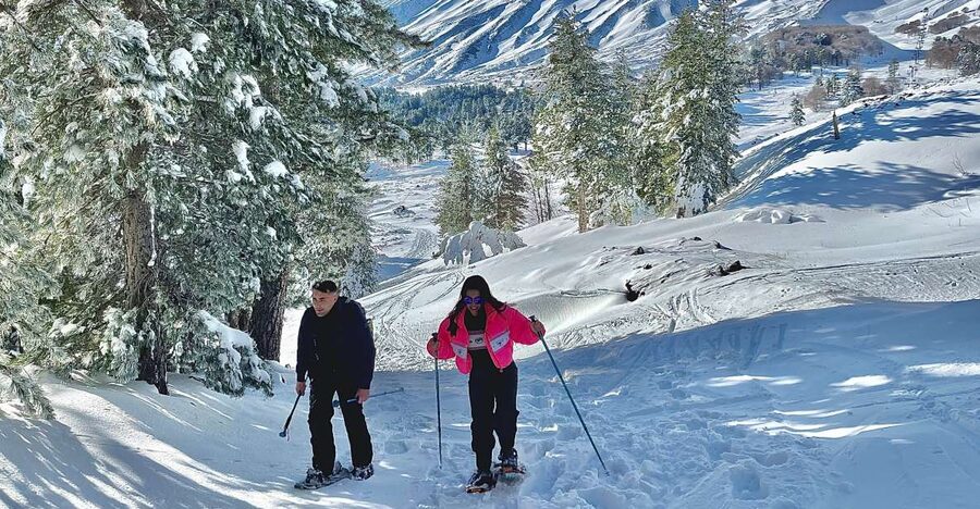 Piano Provenzana: Guided Mt. Etna Snowshoeing Trek - Key points at a glance