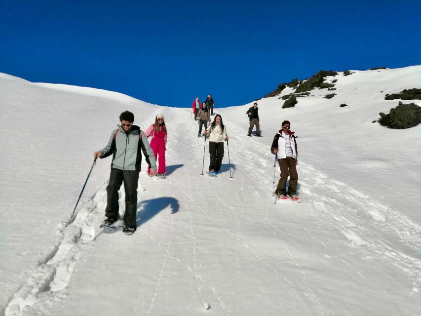 Piano Provenzana: Guided Mt. Etna Snowshoeing Trek - The 2002 craters and the damaged resort area