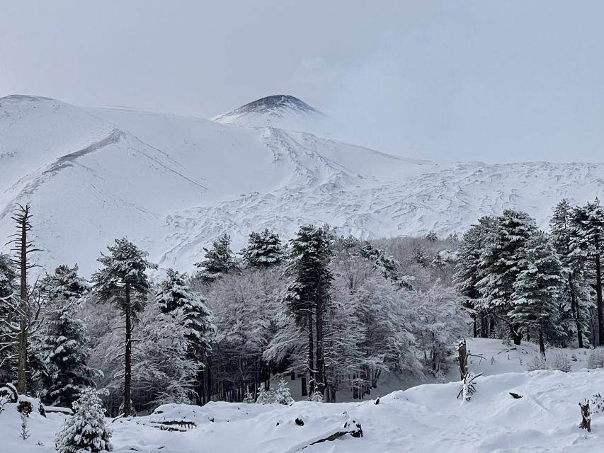 Piano Provenzana: Guided Mt. Etna Snowshoeing Trek - At 2,200 meters: sea views and Etna’s summit