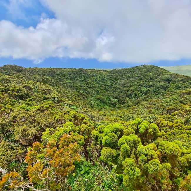 Pico Island: Lagoons and Mysterious Lava Tunnels Guided Tour - A short walk before going underground