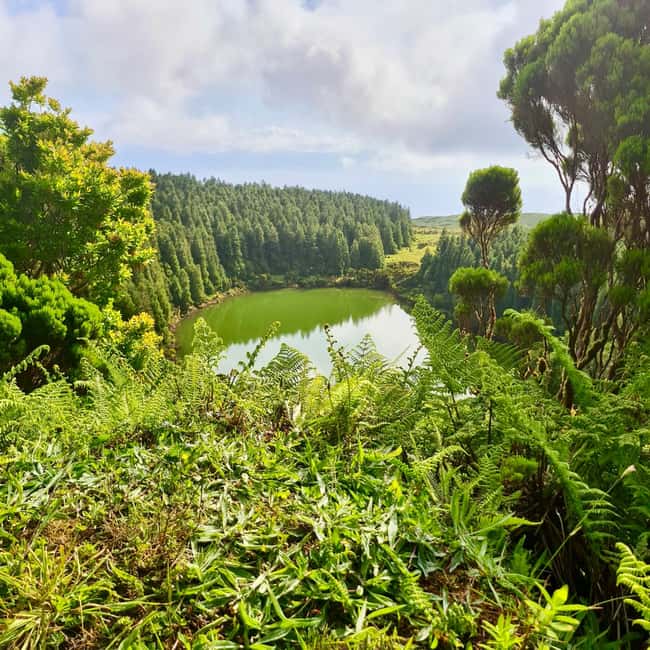 Pico Island: Lagoons and Mysterious Lava Tunnels Guided Tour - Why the six-person group matters