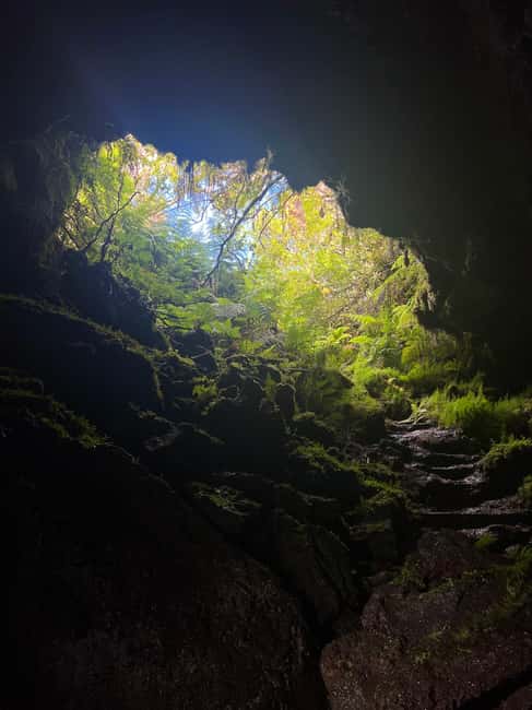 Pico Island: Lagoons and Mysterious Lava Tunnels Guided Tour - Is $100 per person a fair price?