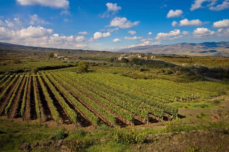 Piedimonte Etneo: Etna Wine Train Tour & Sicily Wine tasting - The 9:18 Circumetnea ride to Randazzo