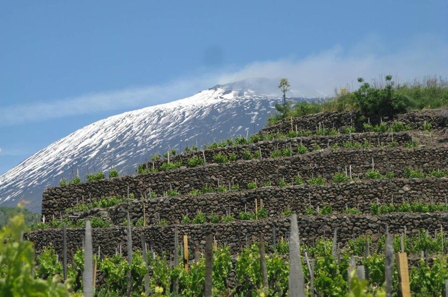 Piedimonte Etneo: Etna Wine Train Tour & Sicily Wine tasting - Who will enjoy this Etna outing?