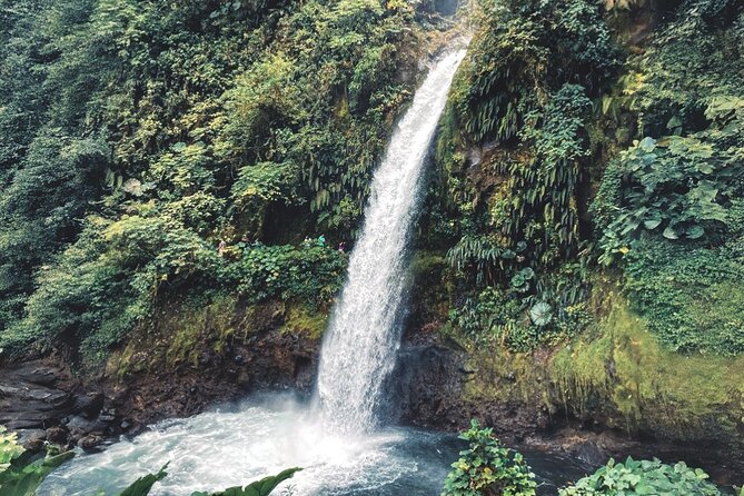 Poás Volcano and Coffee Tour with Tasting and La Paz Falls - Doka Estate Turns Coffee Into a Story