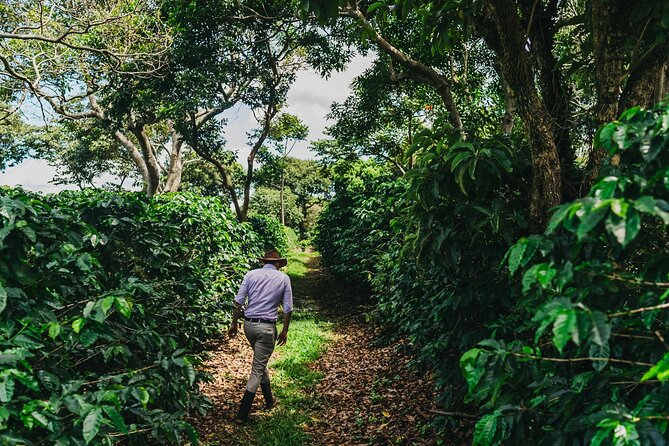 Poás Volcano and Coffee Tour with Tasting and La Paz Falls - Food Stops Need Clear Expectations
