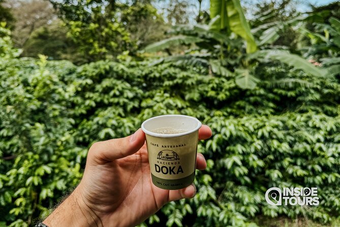 Poás Volcano and Coffee Tour with Tasting and La Paz Falls - Is $105 Fair Value?