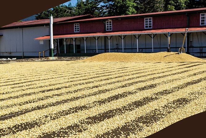 Poás Volcano and Coffee Tour with Tasting and La Paz Falls - Who Should Book This San José Day Trip?
