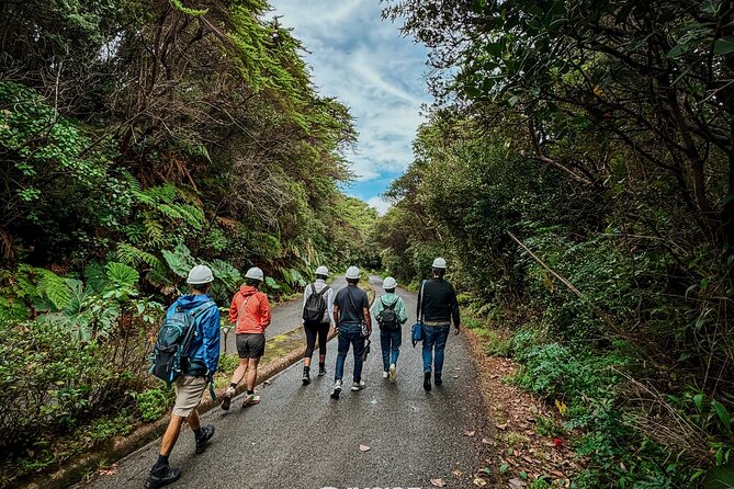 Poás Volcano and Coffee Tour with Tasting and La Paz Falls - Poás Volcano Requires Good Timing and Good Luck