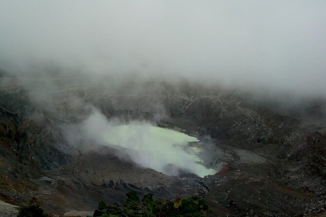 Poas Volcano + Coffee tour + Waterfall tour day from San Jose - A working coffee farm, not just a tasting