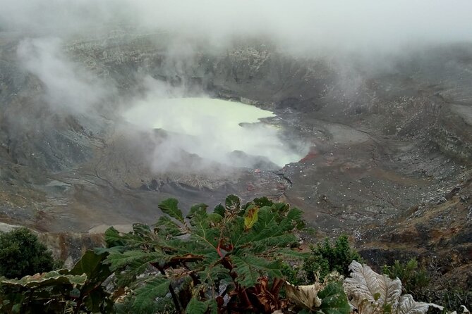 Poas Volcano waterfalls and coffee tour from from San Jose - Key points before you book