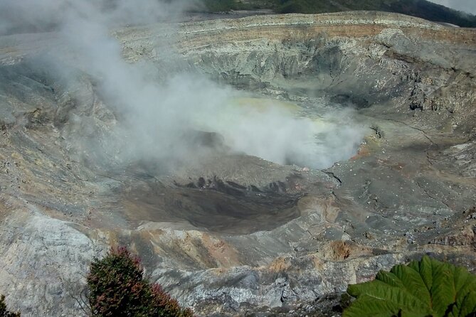 Poas Volcano waterfalls and coffee tour from from San Jose - Mi Cafecito in San Miguel: the best teaching stop