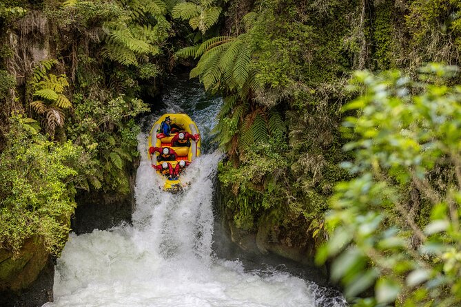 Polynesian Spa Rotorua: Family Hot Pools and Freshwater Pool - The day’s likely rhythm