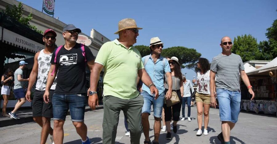 Pompei: Private tour of Pompei and Vesuvius from Sorrento - Two focused hours inside Pompeii